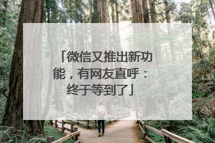 微信又推出新功能，有网友直呼：终于等到了