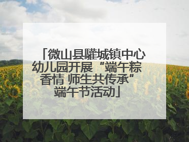 微山县驩城镇中心幼儿园开展“端午粽香情 师生共传承”端午节活动