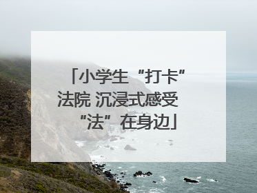 小学生“打卡”法院 沉浸式感受“法”在身边