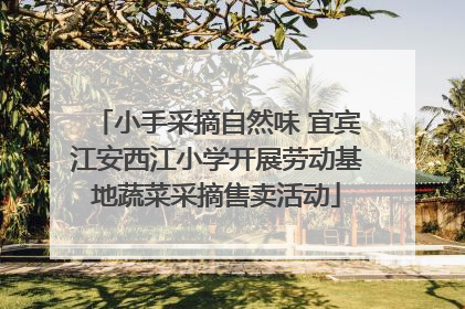 小手采摘自然味 宜宾江安西江小学开展劳动基地蔬菜采摘售卖活动