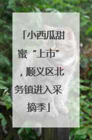 小西瓜甜蜜“上市”，顺义区北务镇进入采摘季
