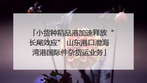 小货种精品港加速释放“长尾效应” 山东港口渤海湾港国际件杂货运业务
