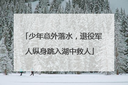 少年意外落水，退役军人纵身跳入湖中救人