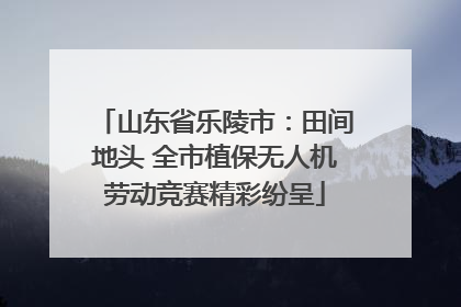山东省乐陵市：田间地头 全市植保无人机劳动竞赛精彩纷呈