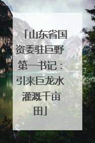 山东省国资委驻巨野第一书记：引来巨龙水 灌溉千亩田