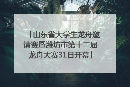 山东省大学生龙舟邀请赛暨潍坊市第十二届龙舟大赛31日开幕