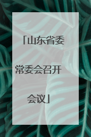 山东省委常委会召开会议