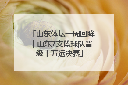 山东体坛一周回眸｜山东7支篮球队晋级十五运决赛