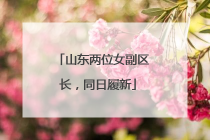 山东两位女副区长，同日履新