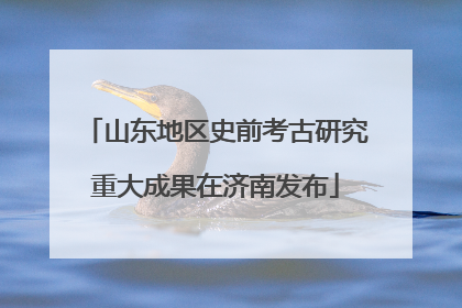 山东地区史前考古研究重大成果在济南发布