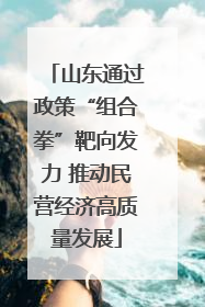 山东通过政策“组合拳”靶向发力 推动民营经济高质量发展