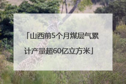 山西前5个月煤层气累计产量超60亿立方米