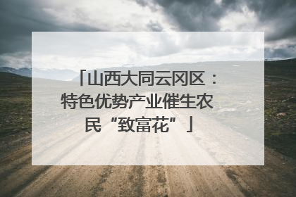 山西大同云冈区：特色优势产业催生农民“致富花”