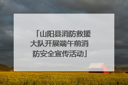 山阳县消防救援大队开展端午前消防安全宣传活动