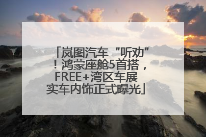 岚图汽车“听劝”！鸿蒙座舱5首搭，FREE+湾区车展实车内饰正式曝光