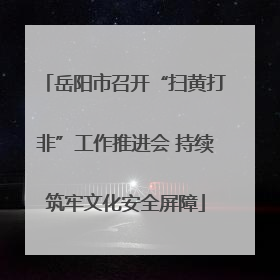 岳阳市召开“扫黄打非”工作推进会 持续筑牢文化安全屏障