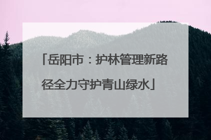 岳阳市：护林管理新路径全力守护青山绿水
