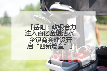 岳阳：政银合力注入百亿金融活水 乡镇商会建设开启“四新篇章”