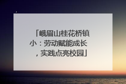 峨眉山桂花桥镇小：劳动赋能成长，实践点亮校园