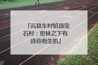 嵩县车村镇顶宝石村：密林之下有诗意有生机