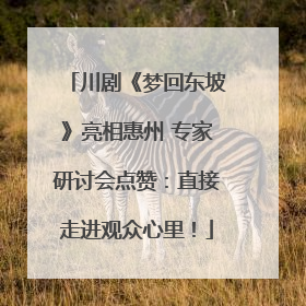 川剧《梦回东坡》亮相惠州 专家研讨会点赞：直接走进观众心里！