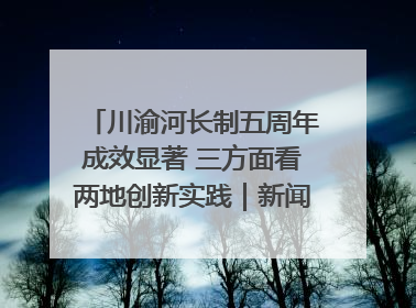 川渝河长制五周年成效显著 三方面看两地创新实践｜新闻发布最前线