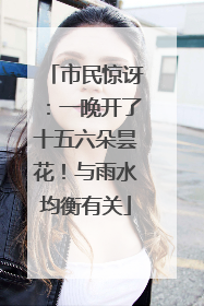 市民惊讶：一晚开了十五六朵昙花！与雨水均衡有关