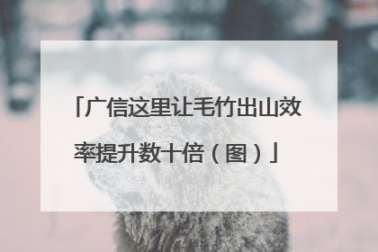 广信这里让毛竹出山效率提升数十倍（图）