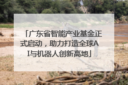 广东省智能产业基金正式启动，助力打造全球AI与机器人创新高地