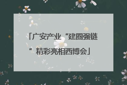 广安产业“建圈强链”精彩亮相西博会