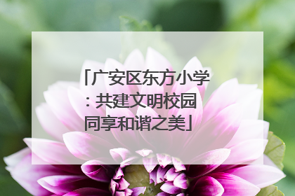 广安区东方小学：共建文明校园 同享和谐之美