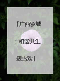 广西罗城：和谐共生鹭鸟欢