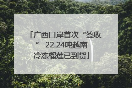 广西口岸首次“签收” 22.24吨越南冷冻榴莲已到货