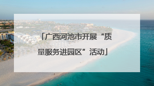 广西河池市开展“质量服务进园区”活动