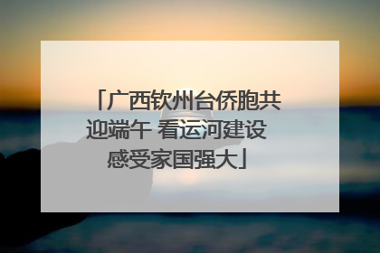 广西钦州台侨胞共迎端午 看运河建设感受家国强大