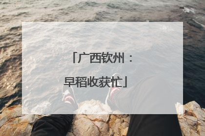 广西钦州：早稻收获忙