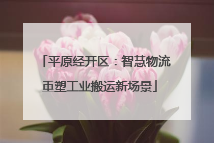 平原经开区：智慧物流重塑工业搬运新场景