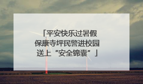 平安快乐过暑假 保康寺坪民警进校园送上“安全锦囊”