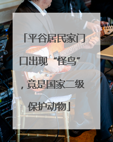 平谷居民家门口出现“怪鸟”，竟是国家二级保护动物