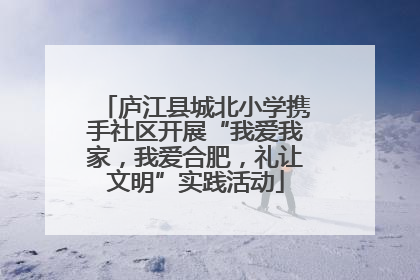 庐江县城北小学携手社区开展“我爱我家，我爱合肥，礼让文明”实践活动