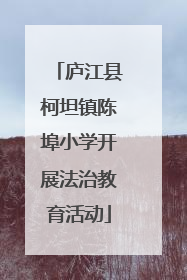 庐江县柯坦镇陈埠小学开展法治教育活动