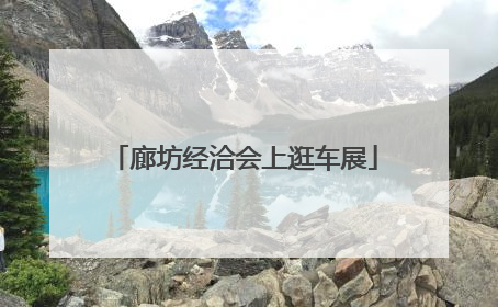 廊坊经洽会上逛车展