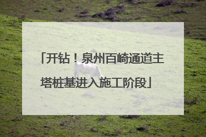 开钻！泉州百崎通道主塔桩基进入施工阶段