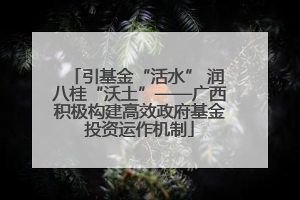 引基金“活水” 润八桂“沃土”——广西积极构建高效政府基金投资运作机制