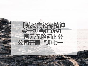 弘扬焦裕禄精神 实干担当建新功—国元保险河南分公司开展“迎七一”主题党日活动