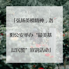 弘扬英模精神，洛阳公安举办“最美基层民警”宣讲活动