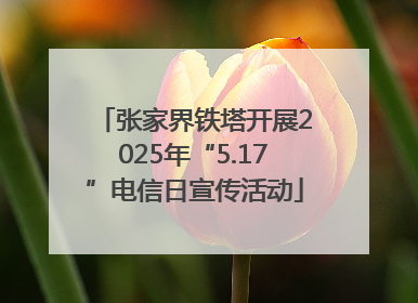 张家界铁塔开展2025年“5.17”电信日宣传活动