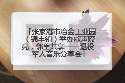 张家港市冶金工业园（锦丰镇）举办歌声嘹亮，邻里共享——退役军人音乐分享会