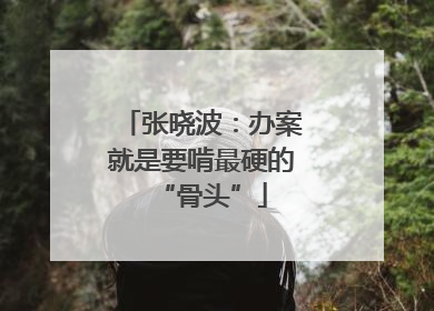 张晓波：办案就是要啃最硬的“骨头”