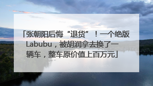 张朝阳后悔“退货”！一个绝版Labubu，被胡润拿去换了一辆车，整车原价值上百万元